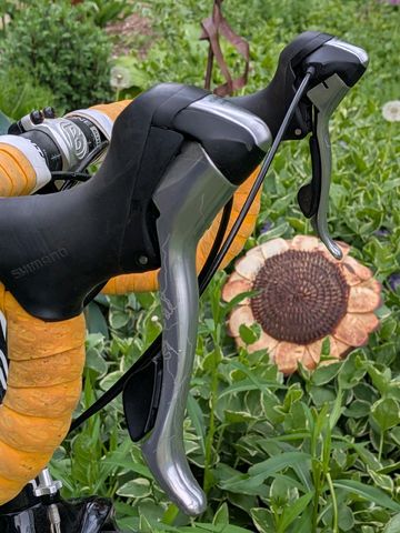Used Felt ZW3 2009 2009 Road & Gravel, Black — image 8 of 12
