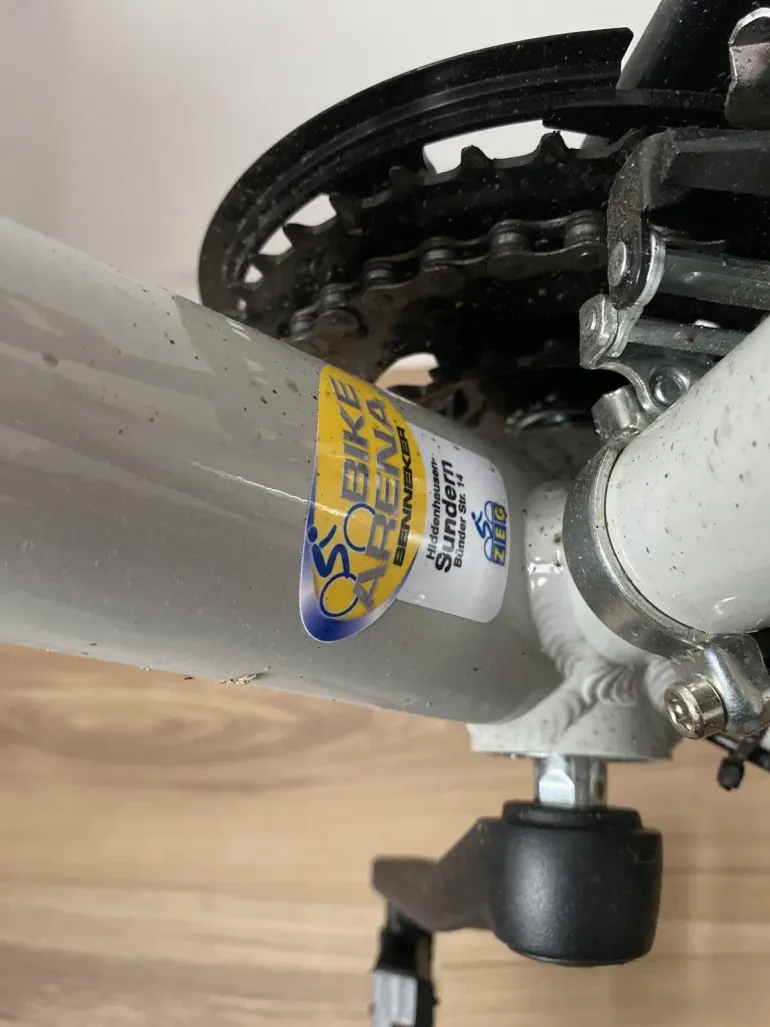 Used BULLS Sharptail 3 29 2022 Mountainbike, Light Gray — image 2 of 3