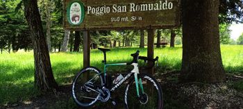 Used Specialized Tarmac SL6 2019 Road & Gravel, White — image 3 of 17