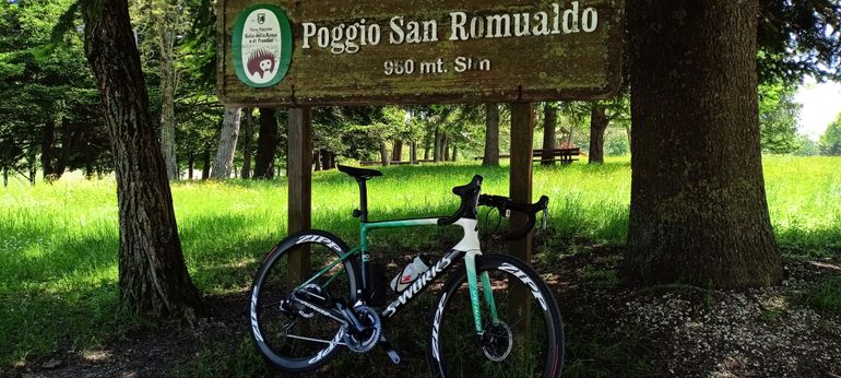 Used Specialized Tarmac SL6 2019 Road & Gravel, White — image 3 of 17