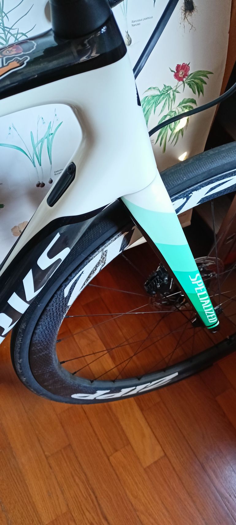 Used Specialized Tarmac SL6 2019 Road & Gravel, White — image 5 of 17