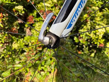Specialized Tarmac Comp Mid-Compact 2012 2012 Road & Gravel d'occasion — image 22 sur 27