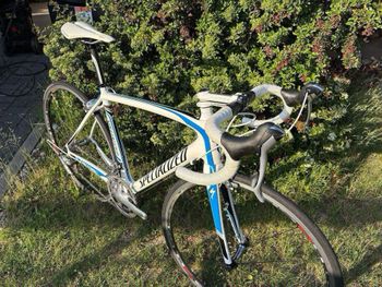 Specialized Tarmac Comp Mid-Compact 2012 2012 Road & Gravel d'occasion — image 4 sur 27