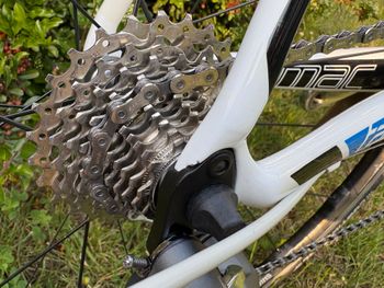 Specialized Tarmac Comp Mid-Compact 2012 2012 Road & Gravel d'occasion — image 18 sur 27