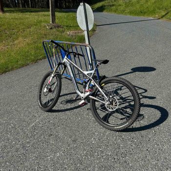 Specialized Pitch Pro 2009 2009 Mountainbike d'occasion — image 2 sur 3