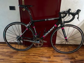 Brugt Giant Team Deutsche Telekom 1997 Road & Gravel — billede 2 af 8
