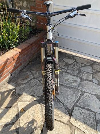 Used Specialized S-Works Enduro 2005 2005 Mountainbike, Light Gray — image 3 of 8