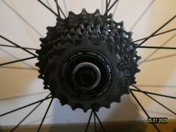 Gebrauchtes Scott Plasma Premium 2017 2017 Road & Gravel, Schwarz — Bild 9 von 16