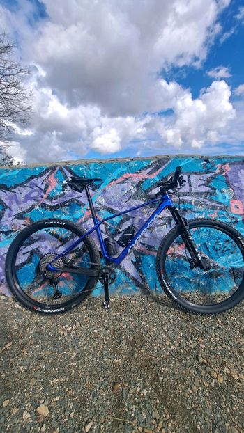 Used Orbea Orbea Alma M20 2025 Mountainbike, Blue — image 3 of 3