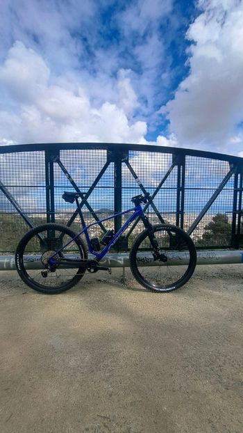Used Orbea Orbea Alma M20 2025 Mountainbike, Blue — image 2 of 3