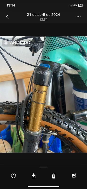 Gebrauchtes Orbea OIZ M30 2020 2020 Mountainbike, Grün, 29 — Bild 5 von 9