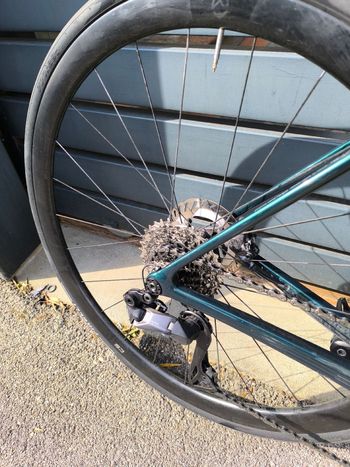 Officine Mattio Lemma RT 2024 Road & Gravel usato, Verde — immagine 8 di 14