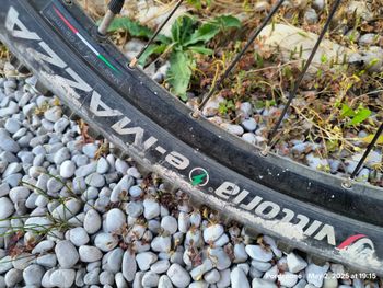 Brugt Olympia Ex Karbo 900 2023 Mountainbike — billede 9 af 20