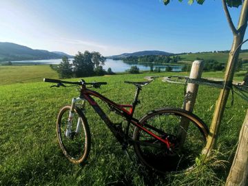 Gebrauchtes Orbea Occam M30 2015 2016 Mountainbike, Rot, 29 — Bild 8 von 8