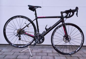 Used Focus Cayo Disc Donna Ultegra 2020 Road & Gravel