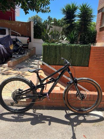 Canyon, Torque 29 CF 7 2022