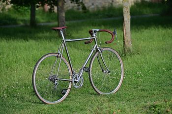 Used Olmo Titanium 1990 Road & Gravel, Light Gray — image 2 of 22