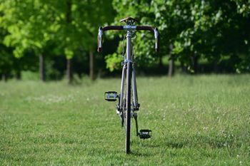 Used Olmo Titanium 1990 Road & Gravel, Light Gray — image 10 of 22