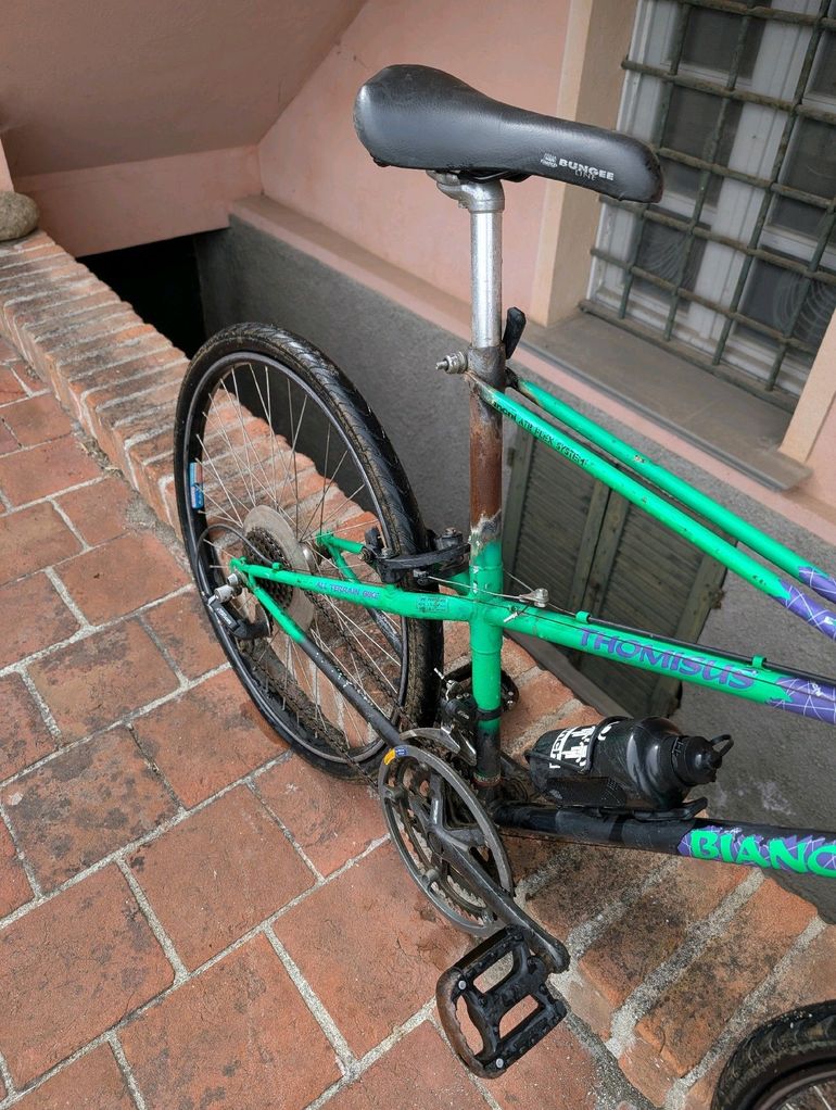 Brugt Bianchi Ragno Thomisus 1990 Mountainbike — billede 3 af 14