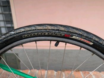 Brugt Bianchi Ragno Thomisus 1990 Mountainbike — billede 14 af 14