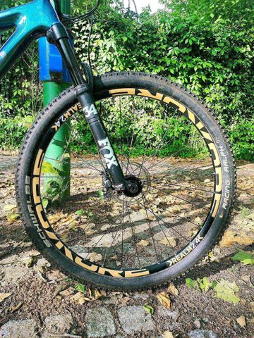 Brugt Specialized Epic Hardtail Replica 2021 2021 Mountainbike — billede 4 af 5