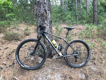 Orbea ALMA M25 2022 2022 Mountainbike usato, Nero — immagine 2 di 4
