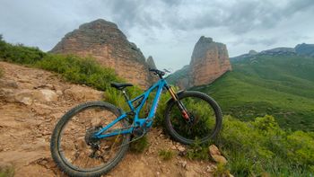 Used Specialized Women's Turbo Levo 2019 2019 MTB