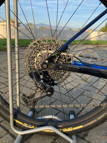 Used Torpado Ribot N 2022 Mountainbike, Black, 29 — image 7 of 24