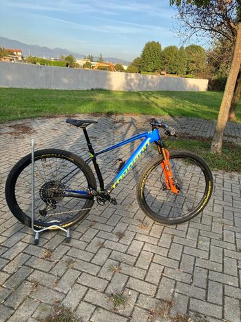 Used Torpado Ribot N 2022 Mountainbike, Black, 29 — image 2 of 24