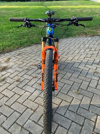 Used Torpado Ribot N 2022 Mountainbike, Black, 29 — image 13 of 24