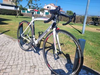 Used Wilier Izoard Xp 2011 Road & Gravel, White — image 2 of 7