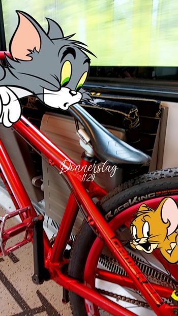 Used Dartmoor Gamer 26 2016 Mountainbike, Red — image 2 of 14
