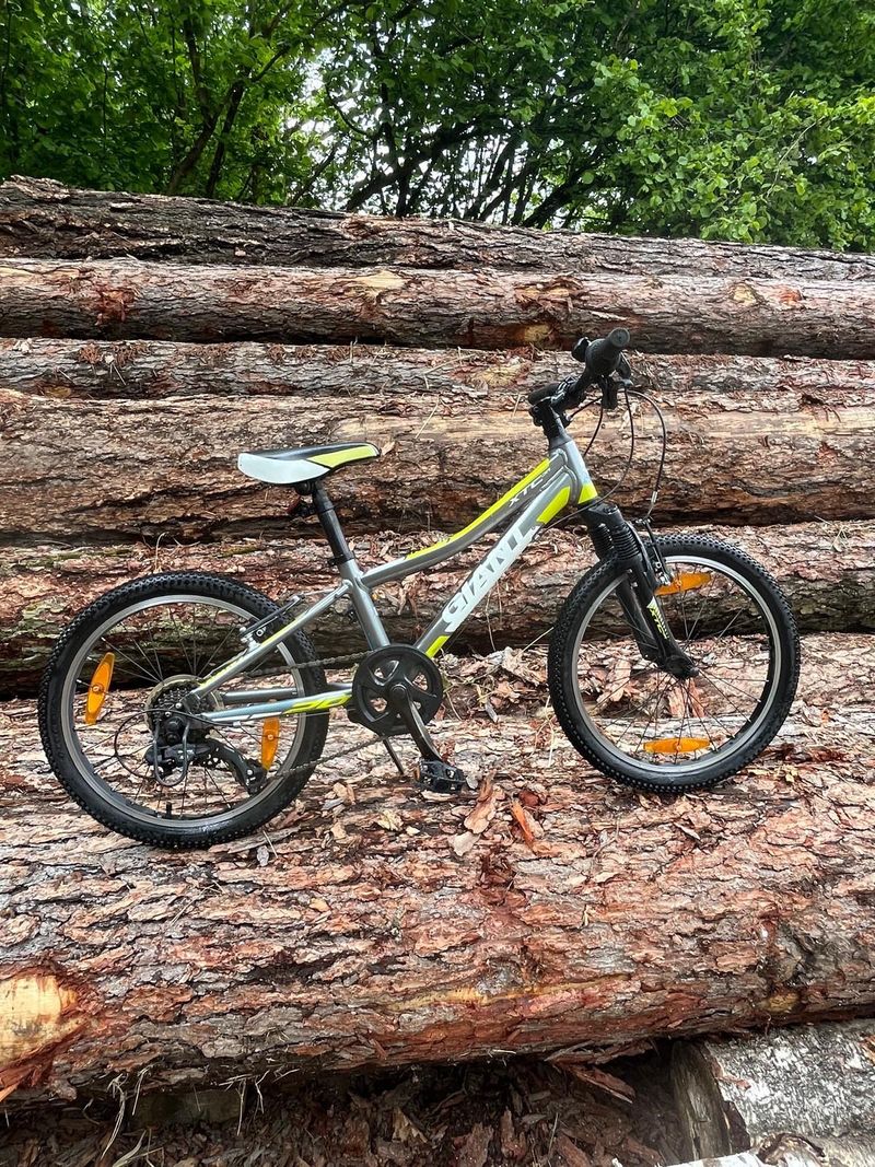 Used Giant XTC Jr 2017 Mountainbike, Green, 20 — image 1 of 5