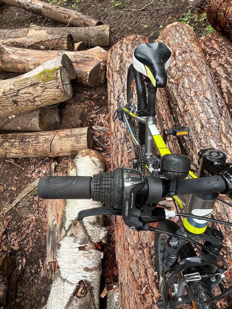 Used Giant XTC Jr 2017 Mountainbike, Green, 20 — image 2 of 5