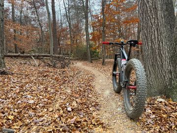 Used Specialized Custom SRAM GX Eagle 2015 Mountainbike, Black — image 1 of 5