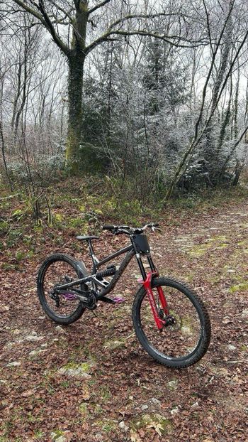 Used Commencal Furious 2020 Mountainbike, Light Gray — image 4 of 8