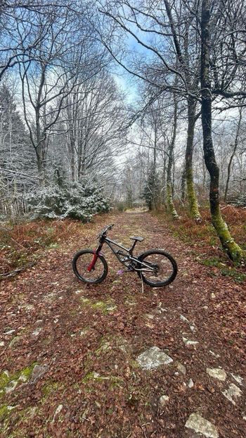 Used Commencal Furious 2020 Mountainbike, Light Gray — image 6 of 8