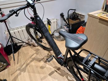 Used Husqvarna Grand Towner 4 FW 2023 2023 Mountainbike, Light Gray, other — image 2 of 5