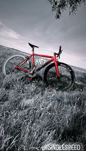 Used FabricBike Light Pro 2022 Road & Gravel, Red — image 1 of 5