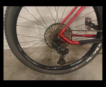 Used Wilier 503X RACE SHIMANO XT 1X12 2.0 2021 2021 Mountainbike, Red, 29 — image 5 of 31