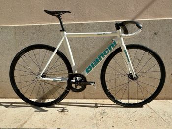 Bianchi Cuadro Súper Pista 1967 Road & Gravel usato, Bianco — immagine 4 di 4