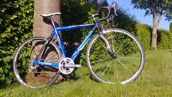Pinarello Paris 2010 Road & Gravel d'occasion — image 11 sur 11