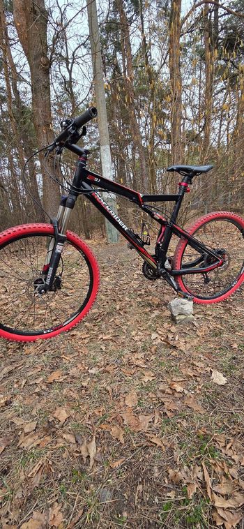 ROCKRIDER, Rockrider RR 9.1