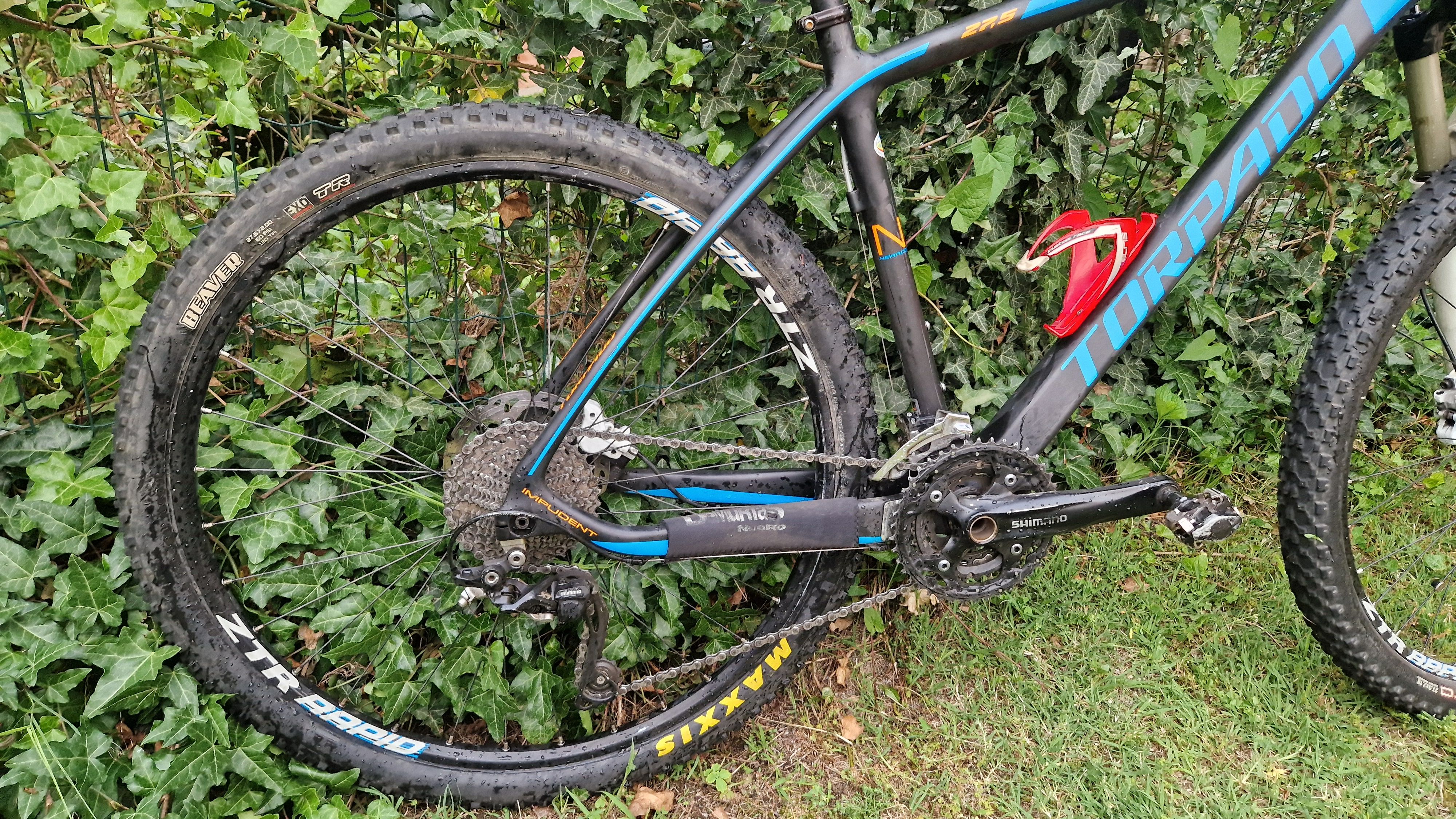 Bicycle Nearco Torpado Torpado Nearco 2017