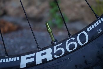 Used Canyon Canyon Torque CF8 2022 2022 Mountainbike, Green — image 4 of 10