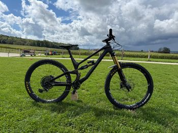 Canyon, Torque CF 9.0 2020
