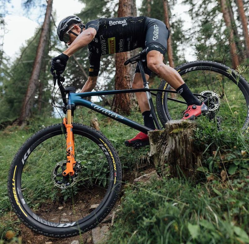 Used Wilier Usma SLR Frameset 2024 2024 Mountainbike, Black, 29 — image 3 of 4