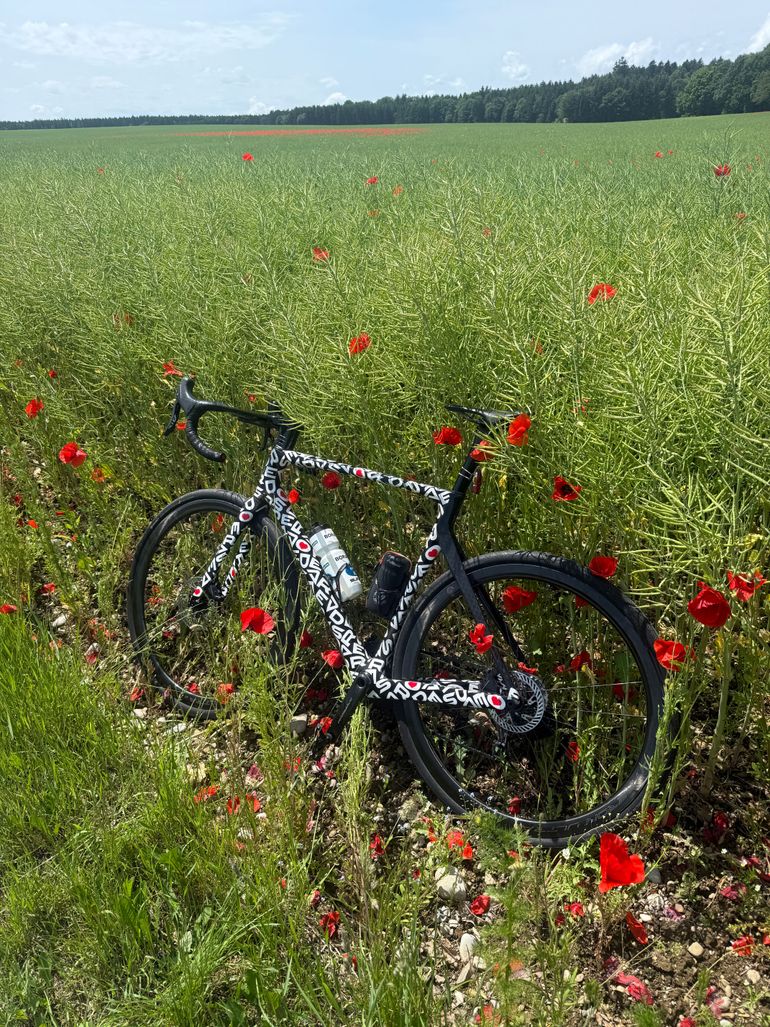 Used De Rosa Settanta 2024 Road & Gravel, Black — image 5 of 9