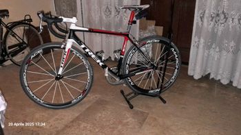 Used Trek Madone Carbon 2013 Road & Gravel
