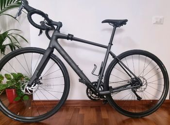 Used Trek Domane AL 2 Gen 4 2025 2025 Road & Gravel, Light Gray — image 2 of 6